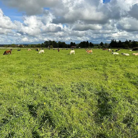 Dom wakacyjny Toormore Carrick on Shannon