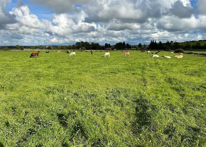 Vakantiehuis Toormore Carrick on Shannon